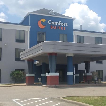 Comfort Suites Airport South Montgomery Exterior foto